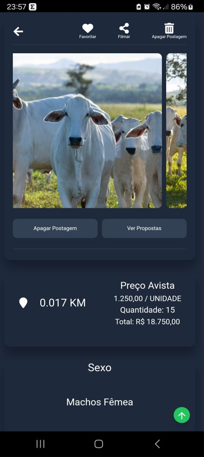 Tela de Detalhes da Publicação